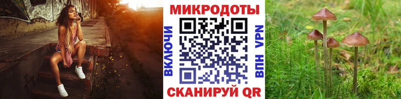 Галлюциногенные грибы Cubensis  Венёв 